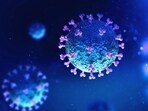 India is observing a surge in infections after the emergence of a new subvariant of the virus, called JN.1. (Shutterstock (PIC FOR REPRESENTATION)) India is observing a surge in infections after the emergence of a new subvariant of the virus, called JN.1. (Shutterstock (PIC FOR REPRESENTATION))