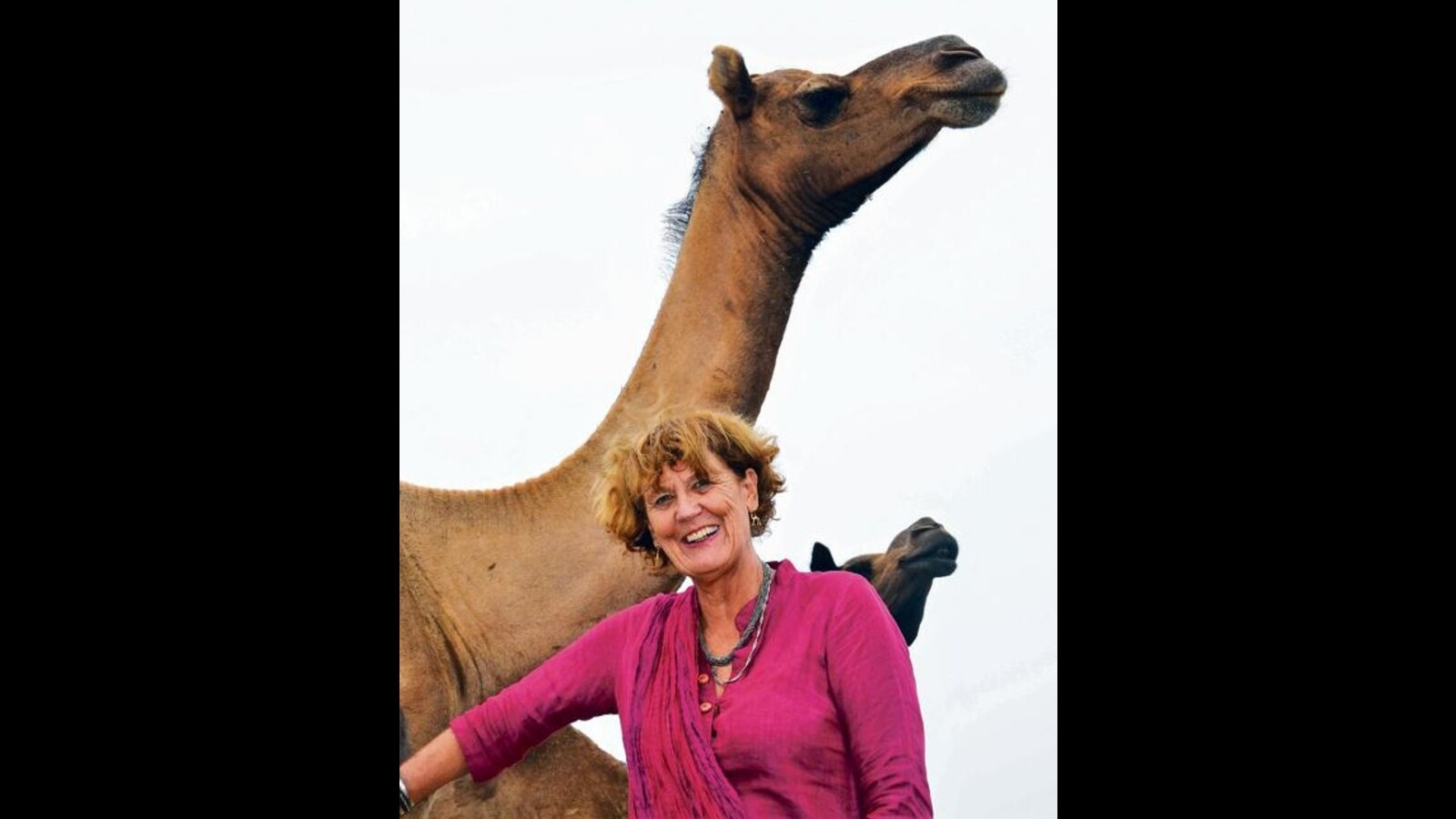 What's for desert? A Wknd interview with camel activist Dr Ilse Köhler-Rollefson - Vimarsana News