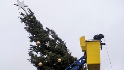 In Belgium, a woman suffered fatal injuries after being struck by a falling Christmas tree, while in the Netherlands, another person was killed by a falling tree.&nbsp; (REUTERS)