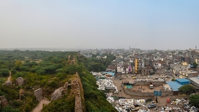 Over 314 hectares of the Southern Ridge, considered part of the Capital’s ‘lungs’, are yet to be cleared of encroachments. (Sanchit Khanna/HT Photo) Over 314 hectares of the Southern Ridge, considered part of the Capital’s ‘lungs’, are yet to be cleared of encroachments. (Sanchit Khanna/HT Photo)