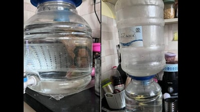 The water dispenser that the woman is selling for ₹41,000. The water dispenser that the woman is selling for ₹41,000.