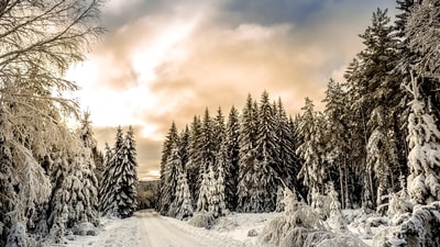 December’s winter solstice is when the northern half of the Earth is tilted furthest away from the sun, marking the "astronomical" first day of winter. (Unsplash) December’s winter solstice is when the northern half of the Earth is tilted furthest away from the sun, marking the "astronomical" first day of winter. (Unsplash)