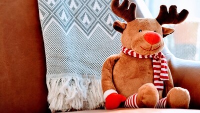 Holiday-Themed Toys: Surprise your pet with festive toys like plush snowmen, squeaky reindeer, or interactive Christmas-themed puzzles. (Unsplash) Holiday-Themed Toys: Surprise your pet with festive toys like plush snowmen, squeaky reindeer, or interactive Christmas-themed puzzles. (Unsplash)