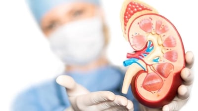 Kidney donation: Prerequisites for a kidney transplant, who can donate and all you need to know (REPRESENTATIVE PHOTO) Kidney donation: Prerequisites for a kidney transplant, who can donate and all you need to know (REPRESENTATIVE PHOTO)