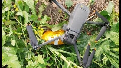 Border Security Force (BSF) and Punjab Police, in joint operations, recovered drones and contraband in Tarn Taran and Amritsar districts on Saturday. Border Security Force (BSF) and Punjab Police, in joint operations, recovered drones and contraband in Tarn Taran and Amritsar districts on Saturday.