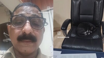 Cat sleeping on Senior Inspector's chair. (Instagram/@Mumbai Police) Cat sleeping on Senior Inspector's chair. (Instagram/@Mumbai Police)