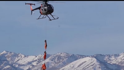 Deer fly through Utah sky. Deer fly through Utah sky.