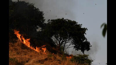 Navi Mumbai, India - Nov. 30, 2018:Fire at Kharghar Hill in Navi Mumbai, India, on Friday, November 30, 2018. (Photo by Bachchan Kumar/ Hindustan Times) (Hindustan Times)