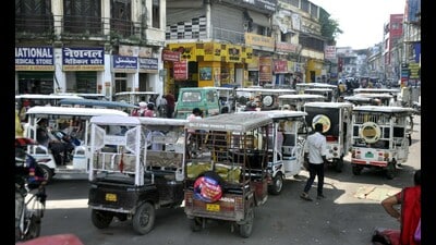 Their colours will be defined by the zones they operate in. The move, authorities hope, will help in keeping a check on their surging numbers. (File)