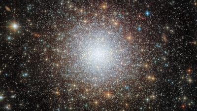 The densely packed globular cluster known as NGC 2210, which is situated in the Large Magellanic Cloud (LMC) is seen in a composite image taken by the James Webb Telescope and released by NASA on December 8, 2023. The LMC lies about 157 000 light-years from Earth, and is a so-called satellite galaxy of the Milky Way, meaning that the two galaxies are gravitationally bound.&nbsp; (NASA/ESA via REUTERS)