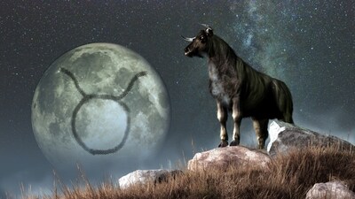 Weekly Horoscope Taurus, Dec 24-30, 2023. A wave of confidence and courage will drive you to progress in life this week. (shutterstock)