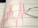 The quake's epicentre was at a depth of 10 km (6.21 miles). (Representative Image) The quake's epicentre was at a depth of 10 km (6.21 miles). (Representative Image)