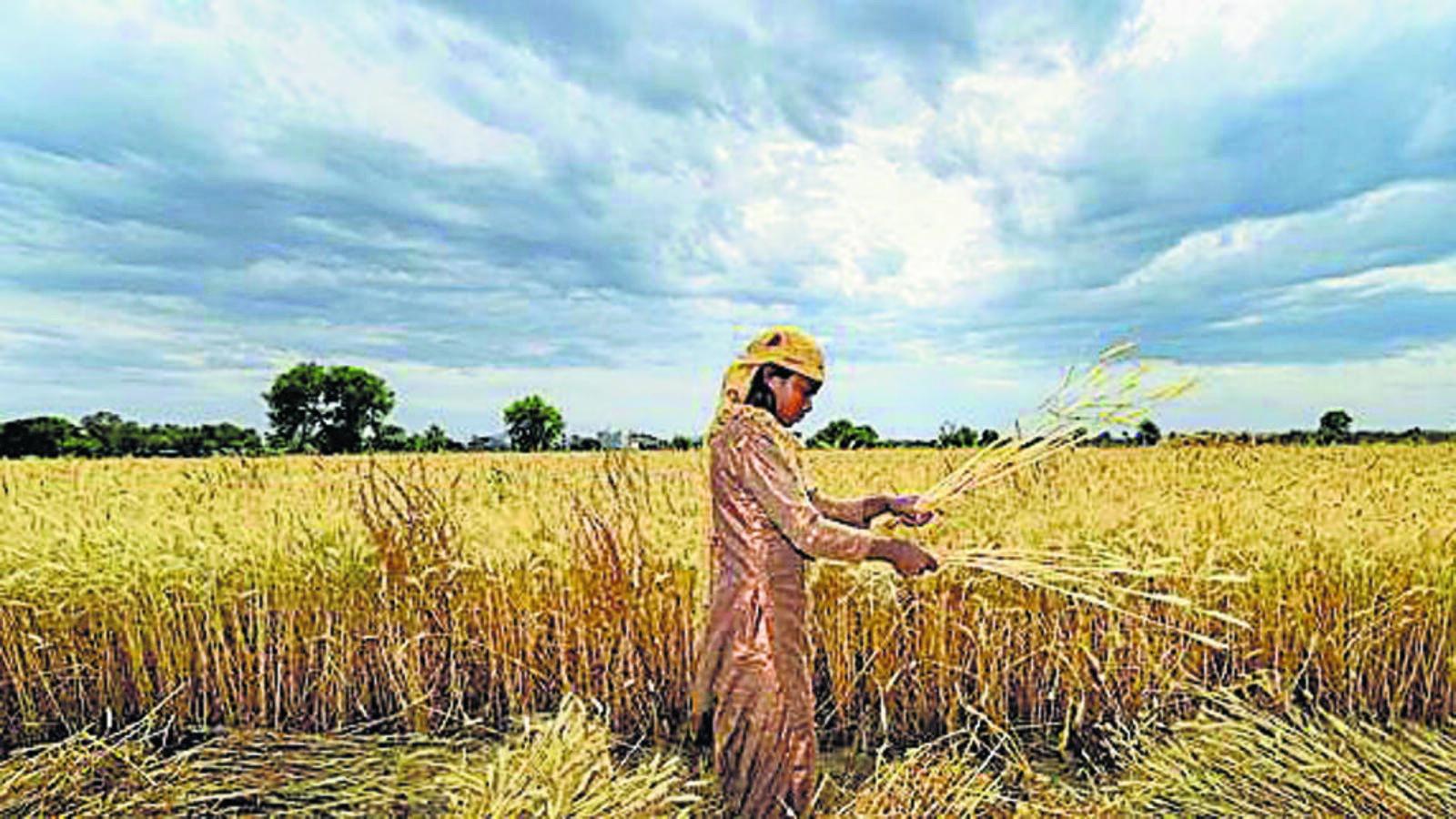 2023: A year of food-price and climate shocks - Vimarsana News