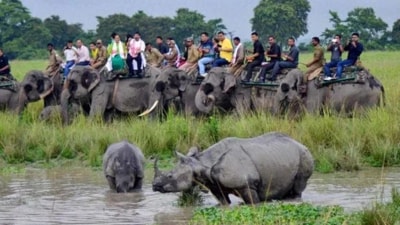 Kaziranga National Park. (File)