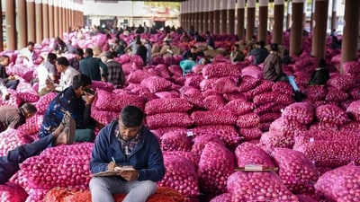 The exhibition aims to shed light on the incredible efforts and achievements of FPOs in transforming the agricultural landscape of India. (File) (PTI)