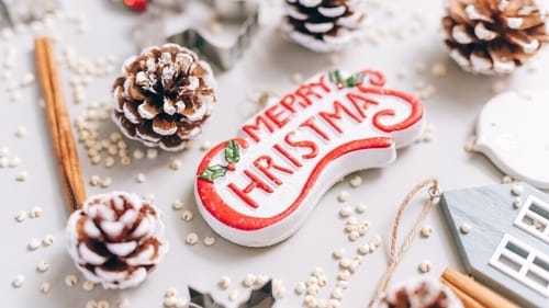 Wish you and your family a joyous Merry Christmas and a Happy New Year! (HT Photo) Wish you and your family a joyous Merry Christmas and a Happy New Year! (HT Photo)