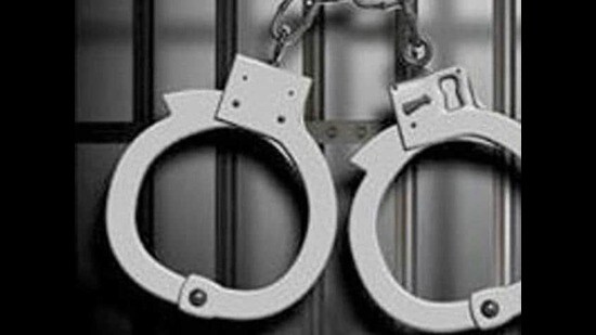 Kalwant Kaur, 41, and her son, Jung Singh Lankanpal, 22, of the same address in Southampton, Hampshire, were charged with conspiring to commit a burglary, which they both pleaded guilty to back in October.