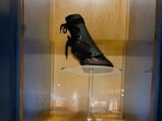 The black rubber boot used in Canada kept cow’s feet securely fastened while recuperating after injury or surgery.