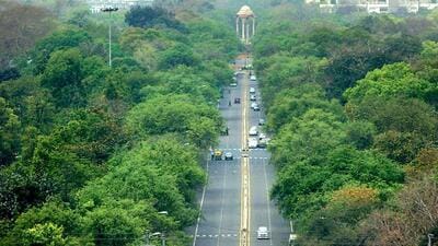 In 2010, the New Delhi Municipal Council (NDMC) set up a tree surgery unit and a tree ambulance, which treats trees with termite infestations, diseases, and concretisation. (HT Archive)