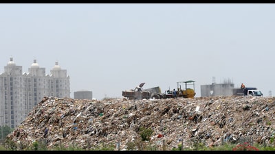 The court also directed the MC chief that the issues raised by Punjab Pollution Control Board (PPCB) member secretary in his report, be dealt with “most promptly” within 45 days. (HT File) The court also directed the MC chief that the issues raised by Punjab Pollution Control Board (PPCB) member secretary in his report, be dealt with “most promptly” within 45 days. (HT File)