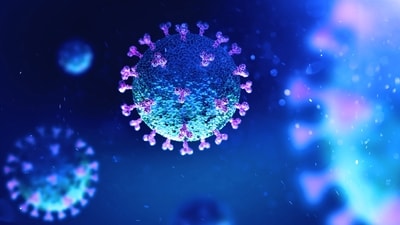 Surge in COVID cases prompts increased testing; samples sent for genome sequencing: Health expert (Shutterstock) Surge in COVID cases prompts increased testing; samples sent for genome sequencing: Health expert (Shutterstock)
