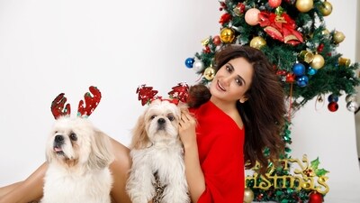 Actor Parul Yadav celebrates the day with her shih tzu dogs, Pluto and Junior Yadav Actor Parul Yadav celebrates the day with her shih tzu dogs, Pluto and Junior Yadav