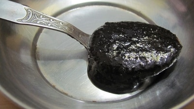 Chywanprash: This diverse and extensive blend of herbs, spices, and botanical has been used for thousands of years to support Gut health, vitality, digestive fire, and overall well-being. Take a tbsp of Chyawanprash on an empty stomach in the morning or before a meal. (Wikipedia) Chywanprash: This diverse and extensive blend of herbs, spices, and botanical has been used for thousands of years to support Gut health, vitality, digestive fire, and overall well-being. Take a tbsp of Chyawanprash on an empty stomach in the morning or before a meal. (Wikipedia)