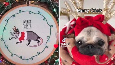 Merry Crisis takes the internet by storm Merry Crisis takes the internet by storm