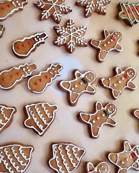 Gingerbread Cookies (Chef Namita Zutshi)