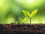 What is eSoil and how does it work? Here's everything you need to know