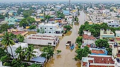 Telangana governor Tamilisai Soundararajan visited flood-hit areas of Thoothukudi district in Tamil Nadu on Monday (PTI) Telangana governor Tamilisai Soundararajan visited flood-hit areas of Thoothukudi district in Tamil Nadu on Monday (PTI)