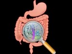 Want to age gracefully? Take charge of your gut microbiota with these tips to support healthy ageing Want to age gracefully? Take charge of your gut microbiota with these tips to support healthy ageing