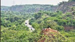 Environmentalists fear the decision could lead to the despoiling of the Aravallis. (HT archive)