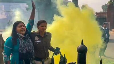 Accused Neelam Singh outside Parliament on December 13. (PTI)