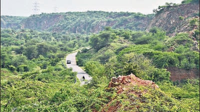 Environmentalists fear the decision could lead to the despoiling of the Aravallis. (HT archive) Environmentalists fear the decision could lead to the despoiling of the Aravallis. (HT archive)