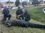Florida police with the massive alligator. Florida police with the massive alligator.