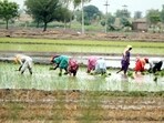 Unpaid family work has replaced some casual work in rural areas. Unpaid family work has replaced some casual work in rural areas.