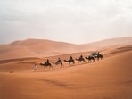 desert_destination