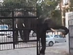 Elephant tore down the gate of district court in Haridwar. Elephant tore down the gate of district court in Haridwar.