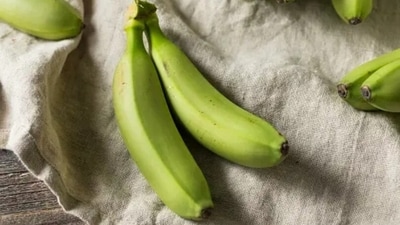 Having green bananas helps in promoting healthy gut microbiome. They are rich in resistant starch and can regulate blood sugar and improve insulin sensitivity. (Unsplash) Having green bananas helps in promoting healthy gut microbiome. They are rich in resistant starch and can regulate blood sugar and improve insulin sensitivity. (Unsplash)