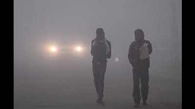 8 killed, several injured as fog reduces visibility on U.P. roads (Deepak Gupta/ht) 8 killed, several injured as fog reduces visibility on U.P. roads (Deepak Gupta/ht)