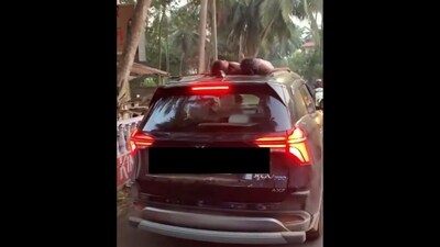 Two kids sleeping on the roof of a moving car in Goa. (X/@InGoa24x7) Two kids sleeping on the roof of a moving car in Goa. (X/@InGoa24x7)