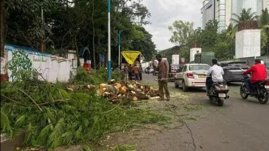 While PMC has axed more than 500 trees in 2023, the civic body has ‘zero’ record of the number of trees replanted against those felled. ((PIC FOR REPRESENTATION))