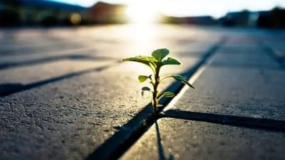 Instead of having one big challenge, we can break it down to smaller challenges. We can also cleebrat4 every time we jump a small hurdle. (Unsplash) Instead of having one big challenge, we can break it down to smaller challenges. We can also cleebrat4 every time we jump a small hurdle. (Unsplash)