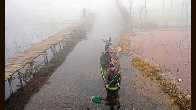 People row a boat on the Dal Lake amid dense fog in Srinagar on Friday. Several parts of Kashmir recorded sub-zero temperatures as 'Chilla-i-Kalan', a 40-day harsh winter period, grips the Valley. (PTI) People row a boat on the Dal Lake amid dense fog in Srinagar on Friday. Several parts of Kashmir recorded sub-zero temperatures as 'Chilla-i-Kalan', a 40-day harsh winter period, grips the Valley. (PTI)