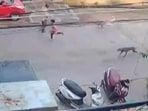 6-year-old boy attacked by stray dogs in Andhra Pradesh's Guntur