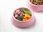 When organising a New Year's get-togethers with friends, opt for nutritious and flavourful treats for your pets instead of oily and fatty foods