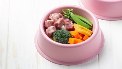 When organising a New Year's get-togethers with friends, opt for nutritious and flavourful treats for your pets instead of oily and fatty foods (Freepik) When organising a New Year's get-togethers with friends, opt for nutritious and flavourful treats for your pets instead of oily and fatty foods (Freepik)