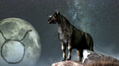 Weekly Horoscope Taurus, Dec 31-6 Jan, 2023: Financially you are good but minor medical issues may come up this week. (shutterstock)