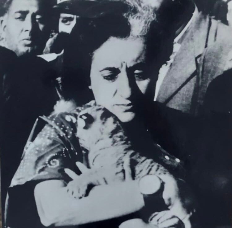 Then PM Indira Gandhi with a tiger cub on her 50th birthday in 1967. (PHOTO COURTESY: JAIRAM RAMESH) Then PM Indira Gandhi with a tiger cub on her 50th birthday in 1967. (PHOTO COURTESY: JAIRAM RAMESH)